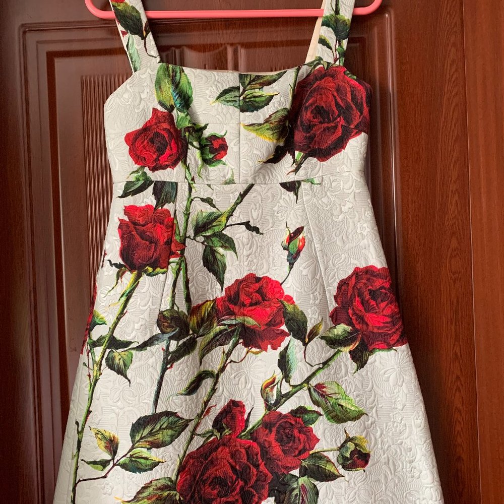 Dolce &Gabbana rose printed mini dress